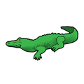 Spell alligator