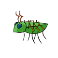 Spell insect
