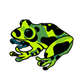 frog